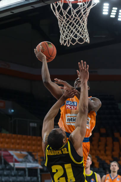 队提供了巨 队提供了巨