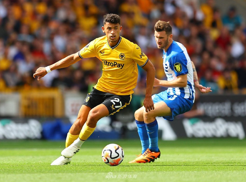 沙特职业联 沙特职业联